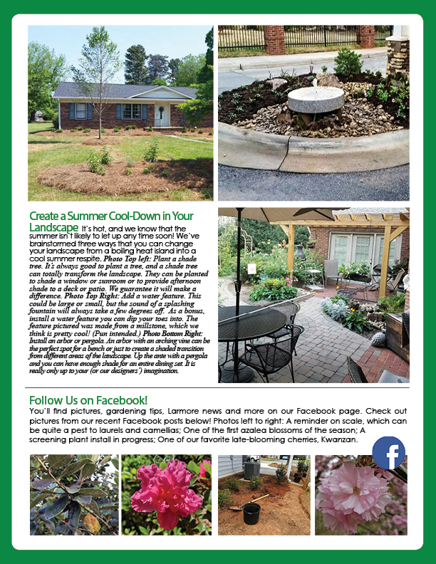 July Printed Newsletter 2019 Page 2