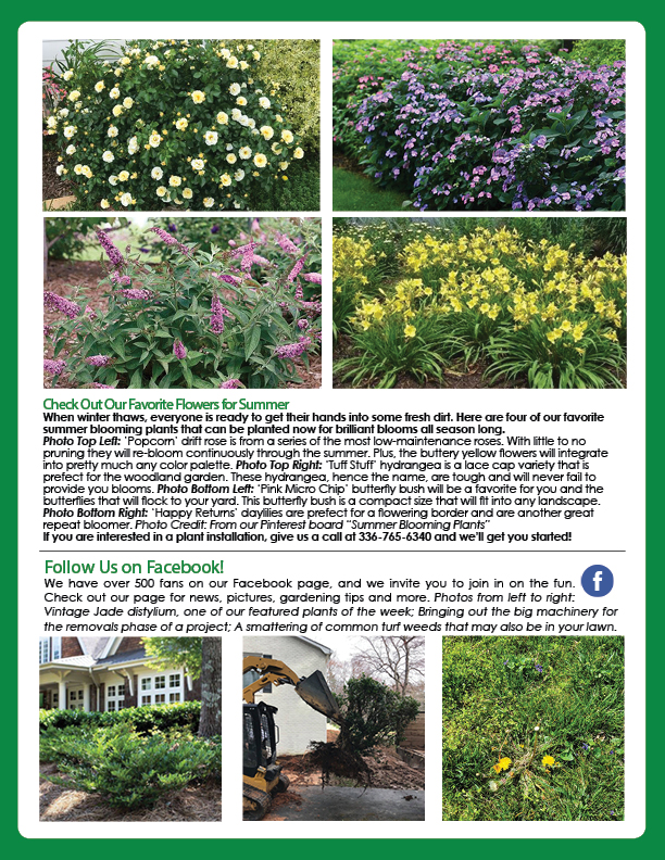 June Printed Newsletter 2019 Page 2